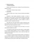 El nuevo Proyecto a nivel de idea