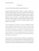 ¿Por qué en México estamos perdiendo la cultura de comprar local?