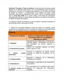 ¿Cómo se evidenciaría la aplicación de este principio en una auditoría liderada por usted?
