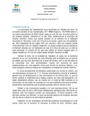 Diagnóstico del Segundo Grado Grupo “A”La comunidad de Tepetzitzintla