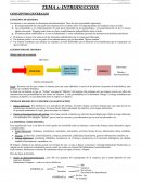 INTRODUCCION CONCEPTO DE SISTEMA