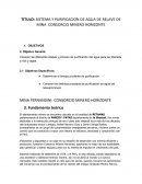 SISTEMA Y PURIFICACION DE AGUA DE RELAVE DE MINA CONSORCIO MINERO HORIZONTE