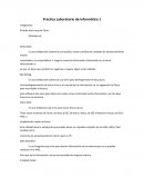 Practica Laboratorio de informática 1