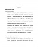 PLAN DE VENTAS ANÁLISIS SITUACIONAL