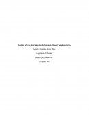 Análisis sobre la determinación del Impuesto Global Complementario