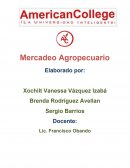 Mercado Agropecuario La Finca Santo Domingo del Sr. Antonio Castellanos