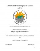 PARA OBTENER EL TITULO DE TECNICO SUPERIOR UNIVERSITARIO EN: MANTENIMIENTO INDUSTRIAL