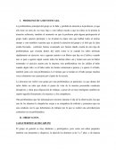 Programacion cognitivo conductual en primaria