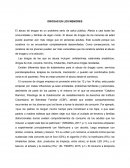 DROGAS EN LOS MENORES