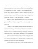 Resumen de “Trabajo Infantil y los Derechos Fundamentales de los niños en el Perú”