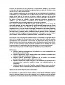 Caso Empresa Familiar