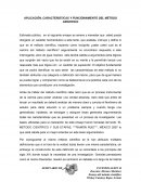 APLICACIÓN, CARACTERISTICAS Y FUNCIÓNAMIENTO DEL MÉTODO CIENTIFICO