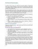 EXAMEN FISICO DEL SISTEMA NERVIOSOS PERIFERICO