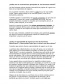 ¿Cuáles son las características principales de los hermanos Cebrián?