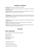 Hardware y software Dispositivos físicos – Consisten en chips de circuitos integrados