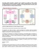 LINCOLN LIBERO A LOS ESCLAVOS