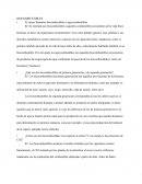 ¿Qué son los biocombustibles de primera generación y de segunda generación?