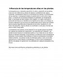 Influencia de las temperaturas altas en las plantas