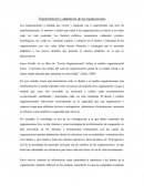 Transformación y adaptación de las organizaciones