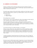 EL ABORTO Y SUS PELIGROS