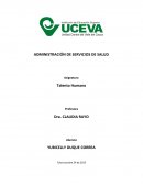 Ensayo Ley Talento Humano