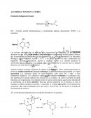 Alcoholes, fenoles y éteres. Oxidación biológica del etanol