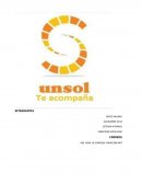 Resumen E La empresa a crear se llama Un sol S.R.L.