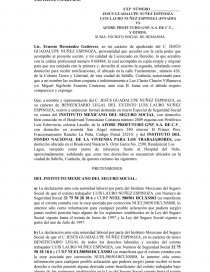 DEMANDA CONTRA AFORE PROFUTURO GNP Y OTROS. Página 1
