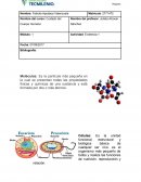 EJEMPLO DE EL NEGOCIO ELECTRONICO
