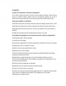 Evangelismo - Cuestionario