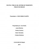 POLÍTICA PÚBLICA DEL SISTEMA DE TRANSPORTE PÚBLICO EN IBAGUÉ