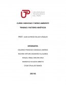 TRABAJO: FACTORES ABIÓTICOS