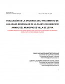 EVALUACIÓN DE LA EFICIENCIA DEL TRATAMIENTO DE LAS AGUAS RESIDUALES DE LA PLANTA DE BENEFICIO ANIMAL DEL MUNICIPIO DE VILLA DE LEYVA