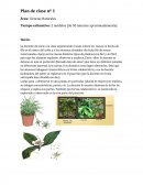 Plan de clase nº 1 Área: Ciencias Naturales
