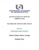 Sinfonia del suelo