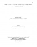 CONTROL Y VIGILANCIA DE LA CAMARA DE COMERCIO EN LA ACTIVIDAD COMERCIAL