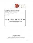 Investigacion Los Linchamientos Colectivos en Argentina (2004-2014)