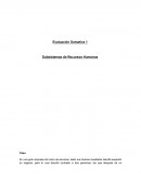 Evaluación Sumativa 1 Subsistemas de Recursos Humanos