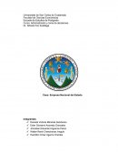 Caso Administraciòn Empresa Nacional