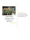 Industrias quimicas en alimentos