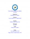 Ejemplo de la Opinion personal de la obra