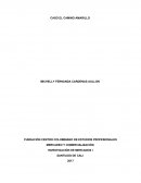 FUNDACIÓN CENTRO COLOMBIANO DE ESTUDIOS PROFESIONALES