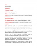 Resumen de la obra teresita cantaba