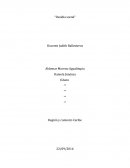 Contaminación ambiental en Santa Marta: Análisis de las problemáticas