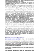 Características de los Sistemas. Los fenómenos sociales