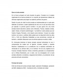 Trabajo de defensa. Que es lucha armada