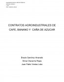 El contrato del Cafe, el Azucar y la Caña en Costa Rica