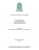Cuales son las Propiedades fisicoquímicas de los aminoácidos