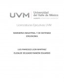 INGENIERIA INDUSTRIAL Y DE SISTEMAS ERGONOMIA