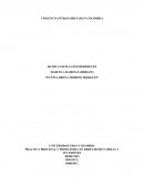 PRACTICA PROCESAL Y PROBATORIA EN DERECHO DE FAMILIA Y SUCESIONES